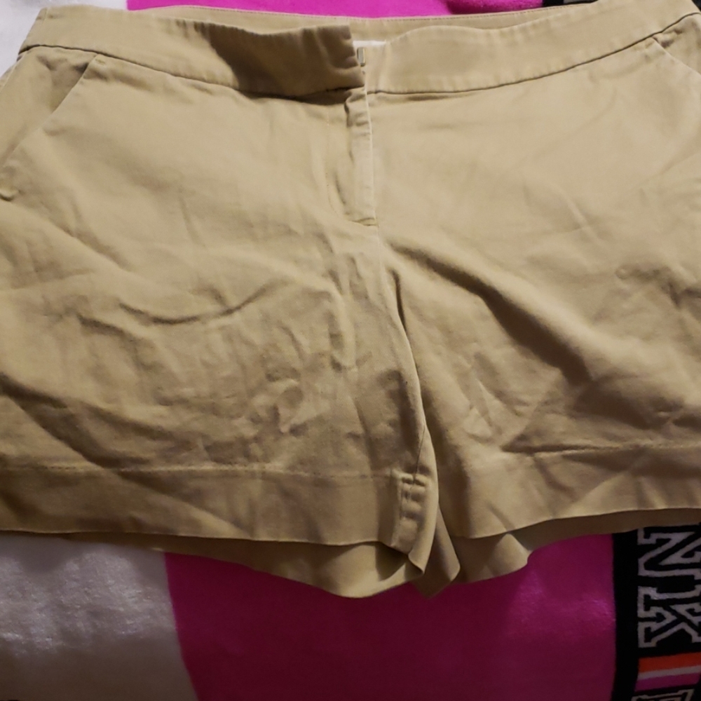 Loft Shorts